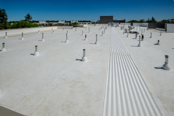 Best Roof Moss and Algae Removal  in Whitewater, KS